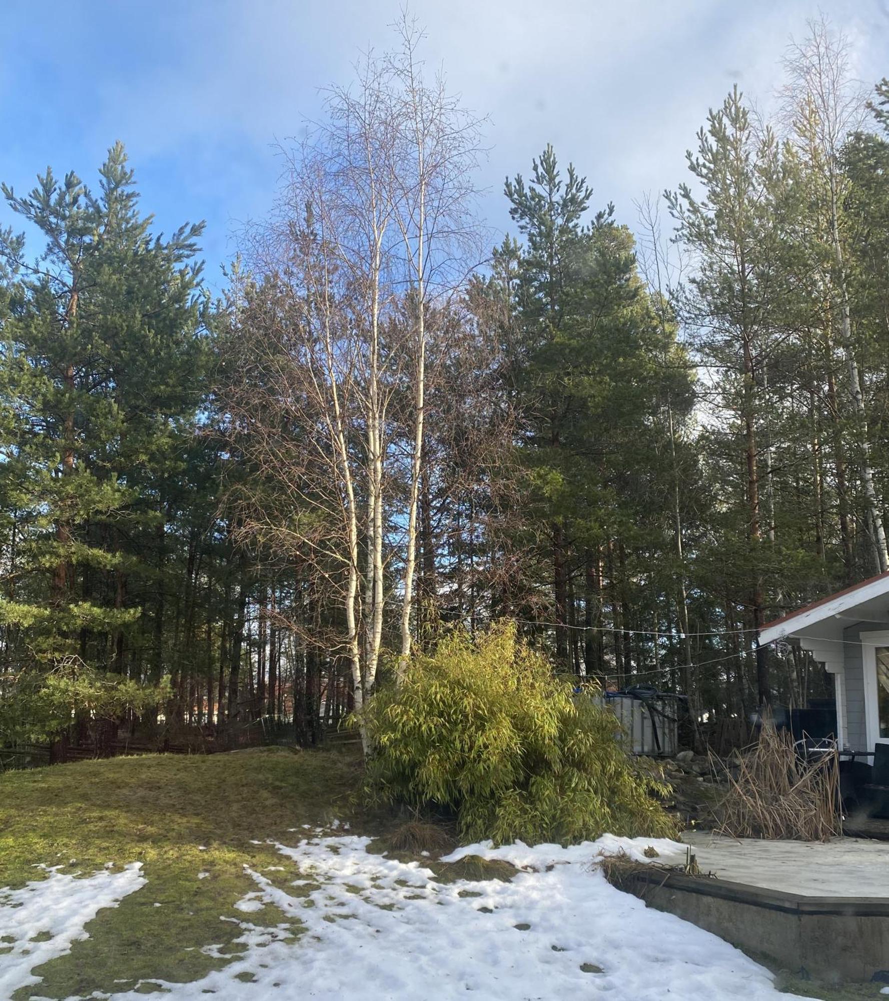 Hotel In Svalsaeter, Kallfors, Jaerna, Stockholm, 5 Min To Golf & 15 Min To Ytterjaerna Concerts Exterior foto